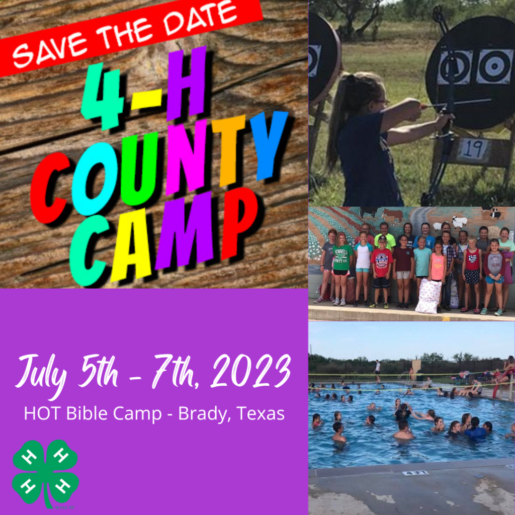 4H Camps Runnels